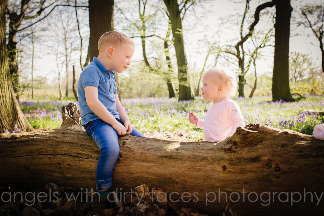 siblings sit on a log during their  Family Photo Shoot 