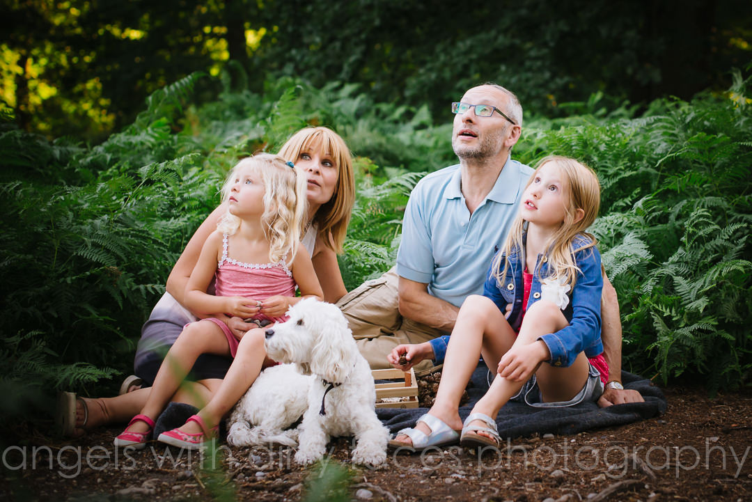 family photography in the woods with the dog