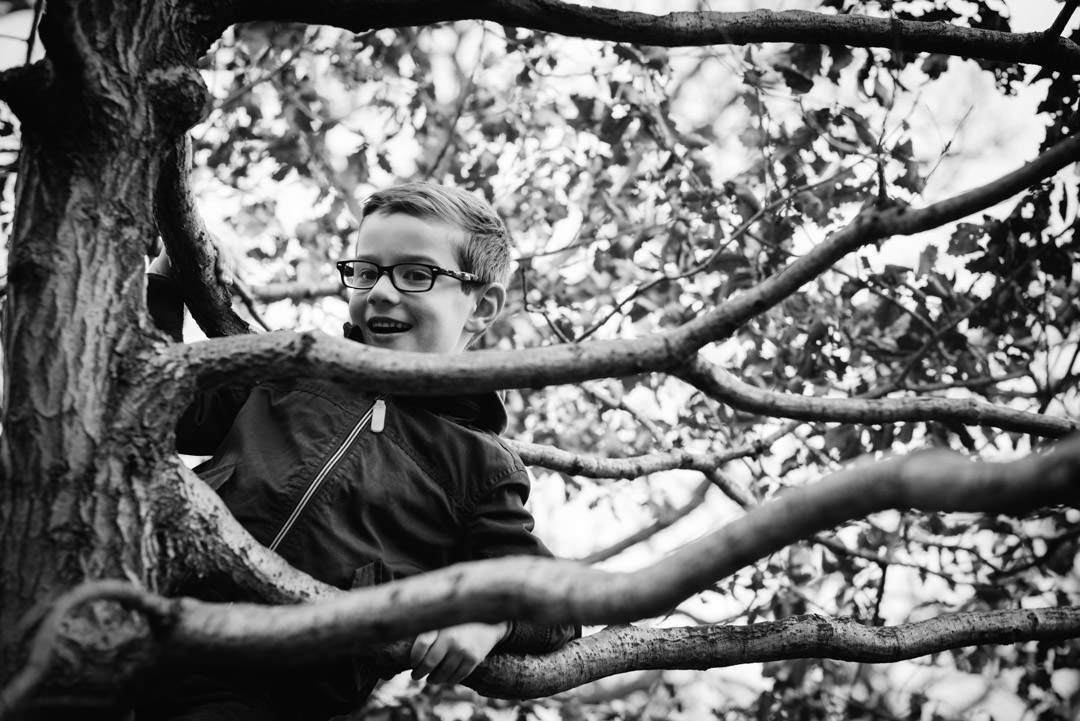 young boy climbing a tree in the woods on a welwyn garden city family photo shoot