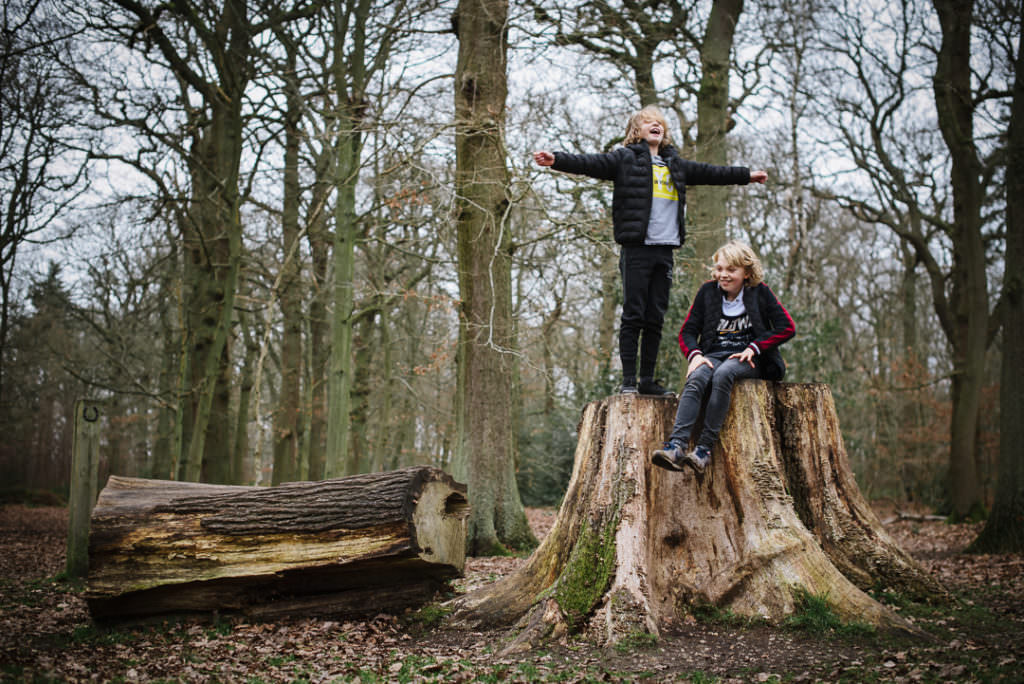 boys playing in the woods during their hertfordshire family photo shoot