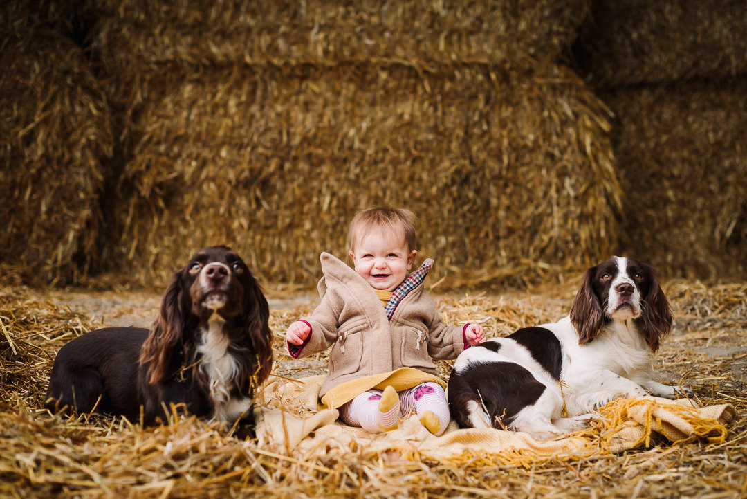 hertfordshire toddler and her dogs play for their hertfordshire photographer