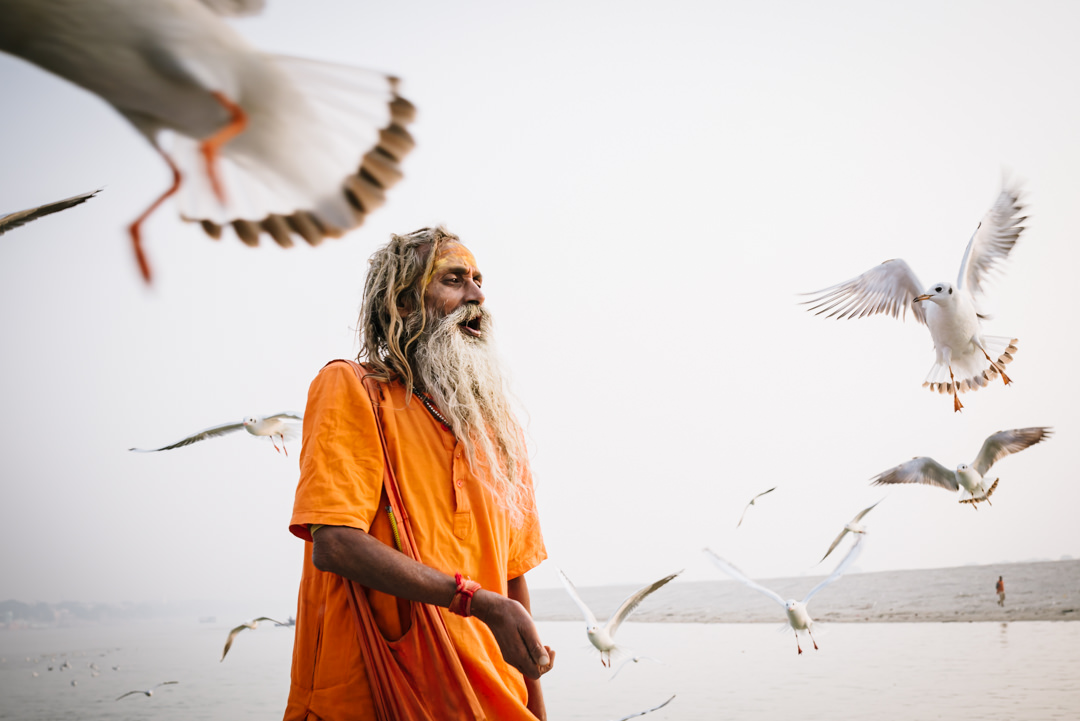 holy baba attracts flocks of birds early morning at the ghats of varanasi