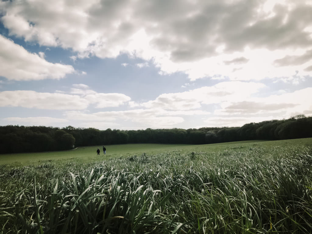 two boys walk across hertfordshire countryside