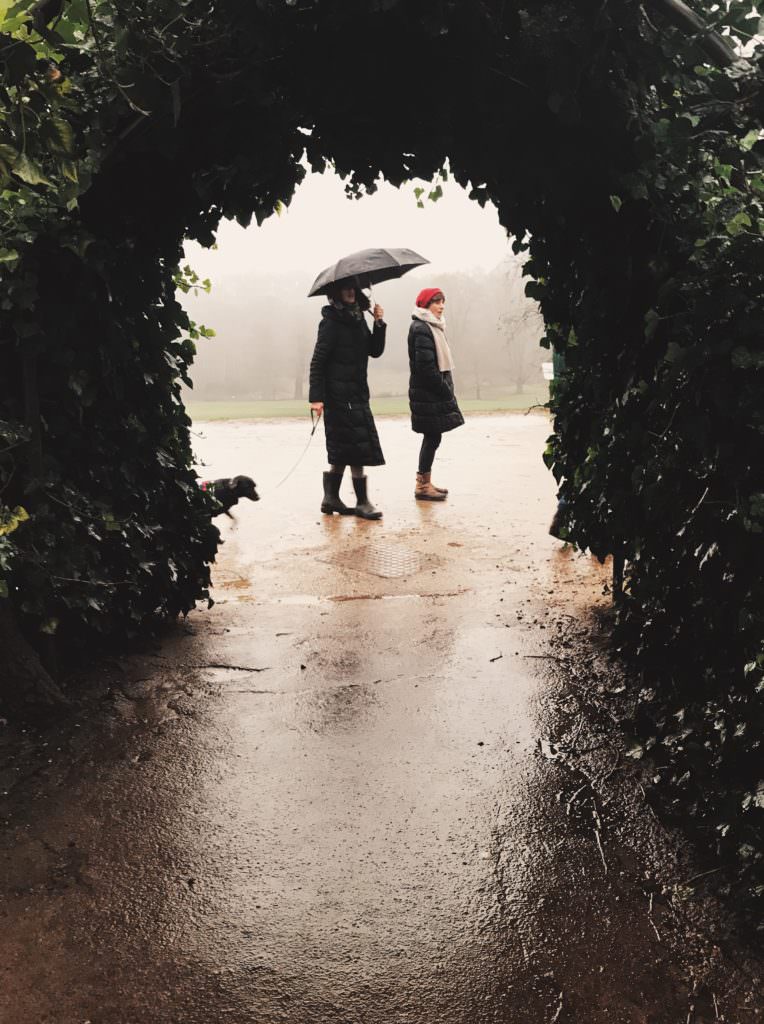 two walkers framed by a hedge