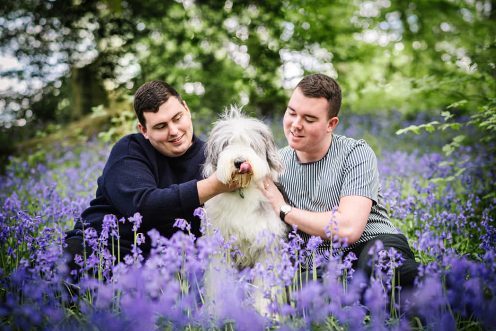 bluebell photo shoot in hertfordshire with hilda the dog