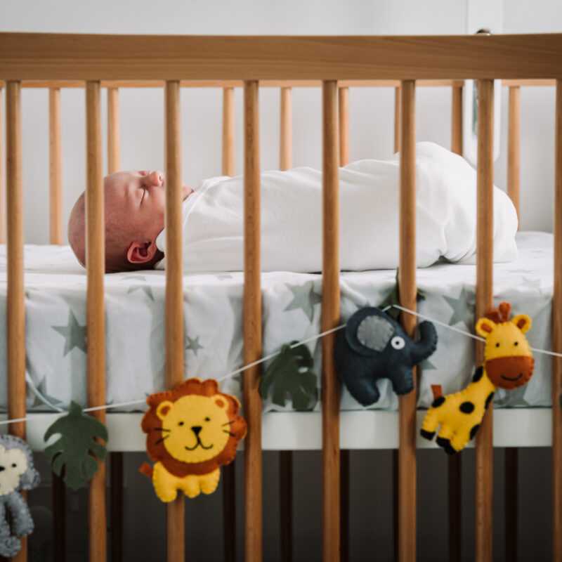Newborn baby sleeps in her cot amongst soft toys