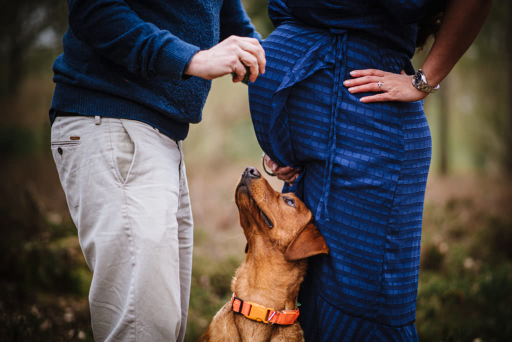 Natural maternity photography can include the family dog!